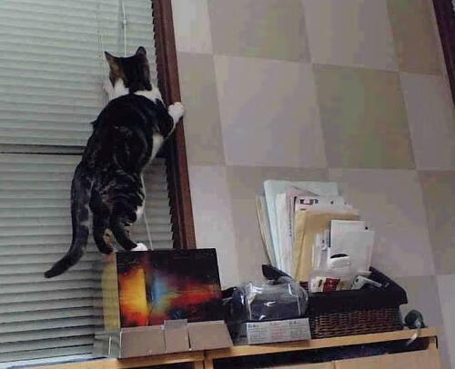 九游官网pc-未来足球“皇者”榜单：谁能在欧冠中问鼎？，未来足球新星