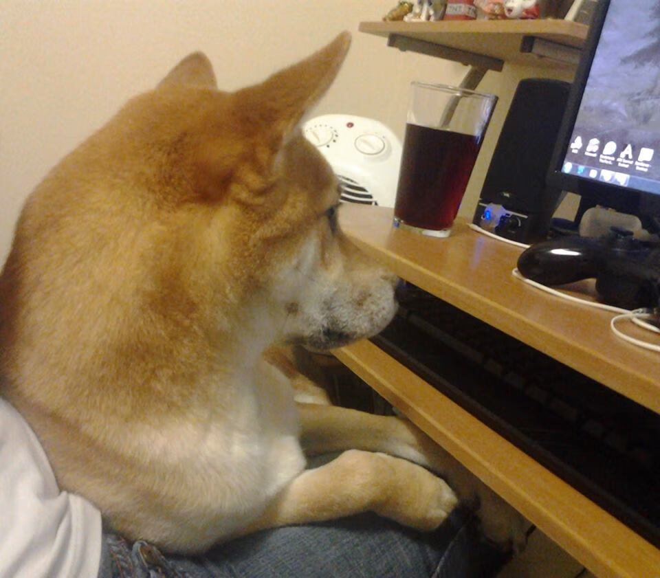 粉丝投票:你最期待哪个车手夺冠?,最佳车手投票