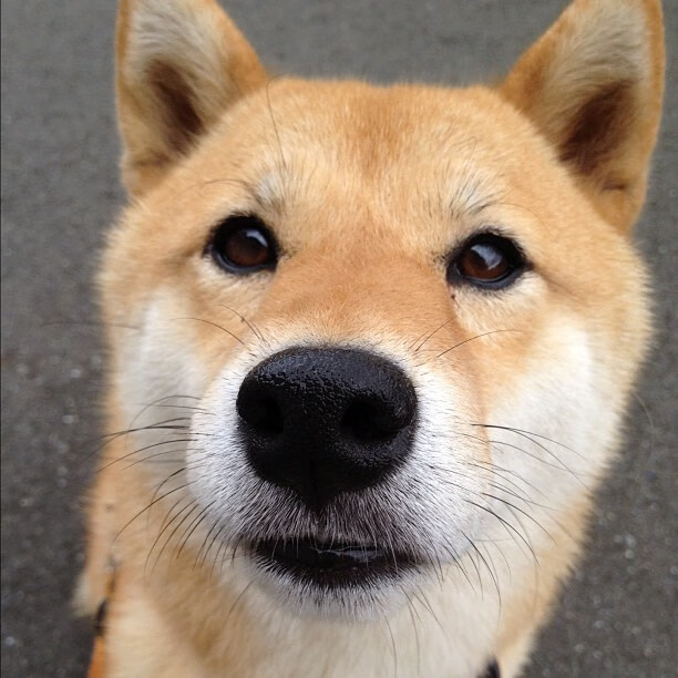 九游娱乐官网 (jiuyou)-克罗地亚意大利互交白卷，欧预赛形势难预料，位于意大利与克罗地亚中间的海是什么海