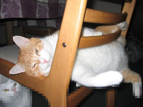 九游app下载中心-北京国安主场气氛火热，2020北京国安主场在哪