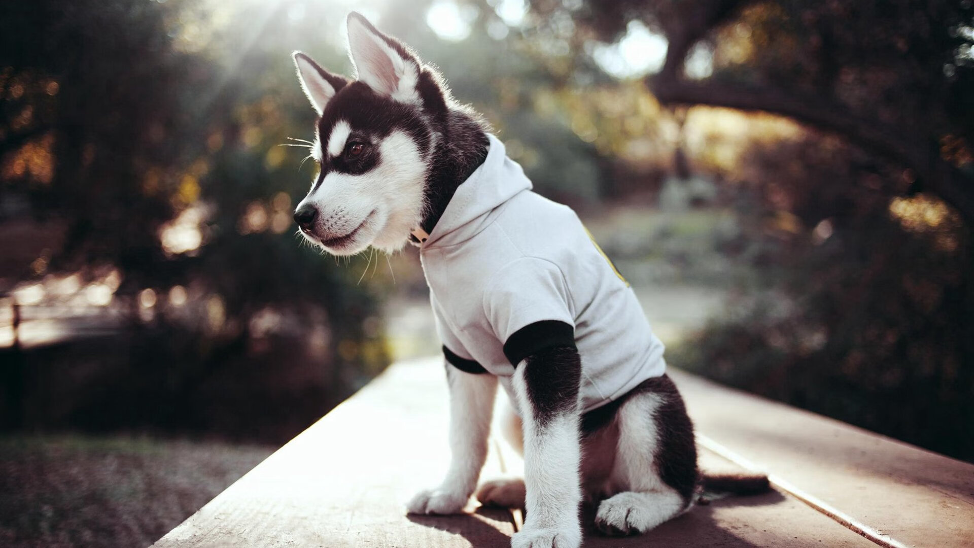 九游-欧国联赛考验球队耐力，冲刺阶段精彩纷呈，欧国联赛事推荐