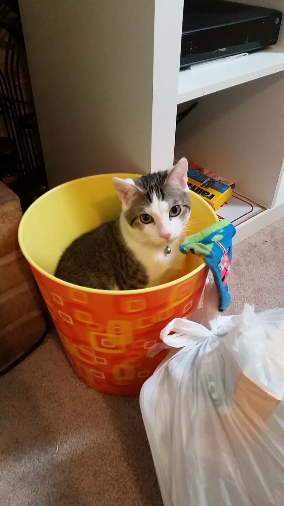 九游网页版官网入口-独立队球员转会动态，独立怂队