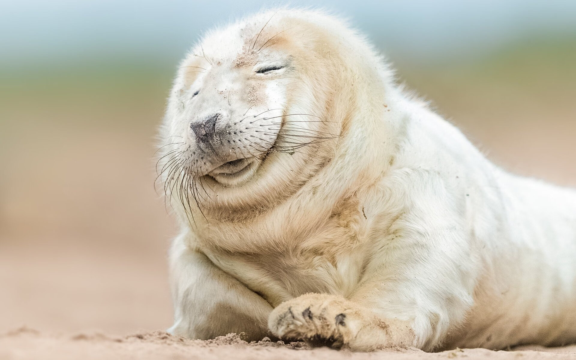 九游jiuyou-电竞游戏内置观战系统设计与优化研究，电竞观赛室