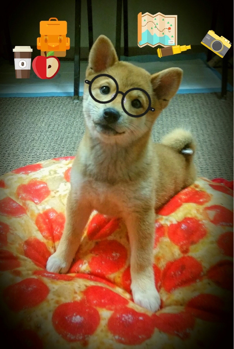 体育赛事社交媒体传播热度持续走高,体育赛事媒体宣传方案