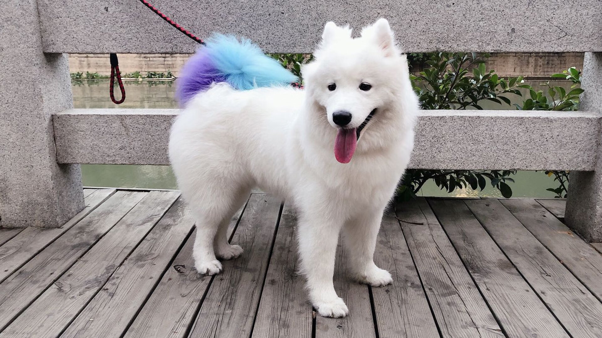 九游app下载中心-曼联战术分析引发专家热烈讨论，曼联的战术打法