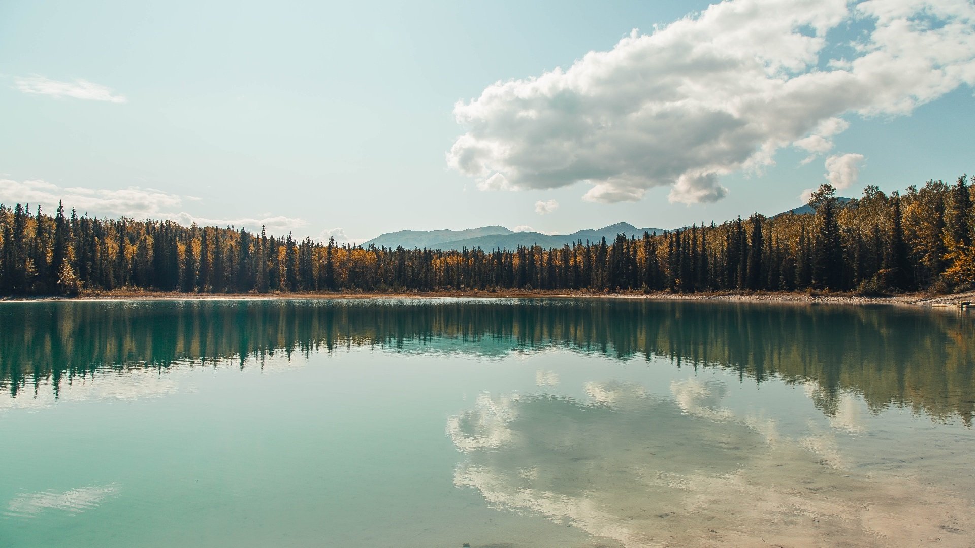 九游游戏中心-水球比赛波兰男队防守严密，波兰球u got that