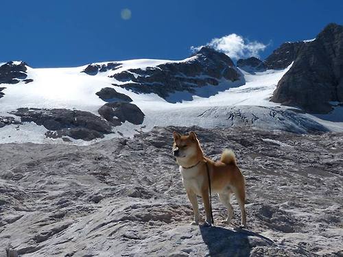 九游下载安装-美洲杯明星尽显风采：精彩突破不停！，美洲杯足球明星
