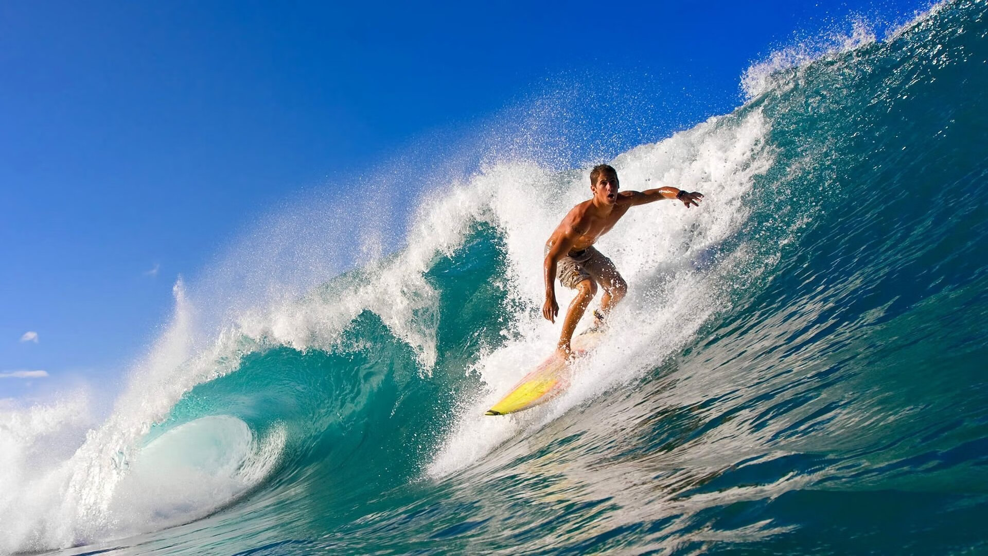 美洲杯血战夜：英雄辈出，震撼全场！，美洲杯决赛流血