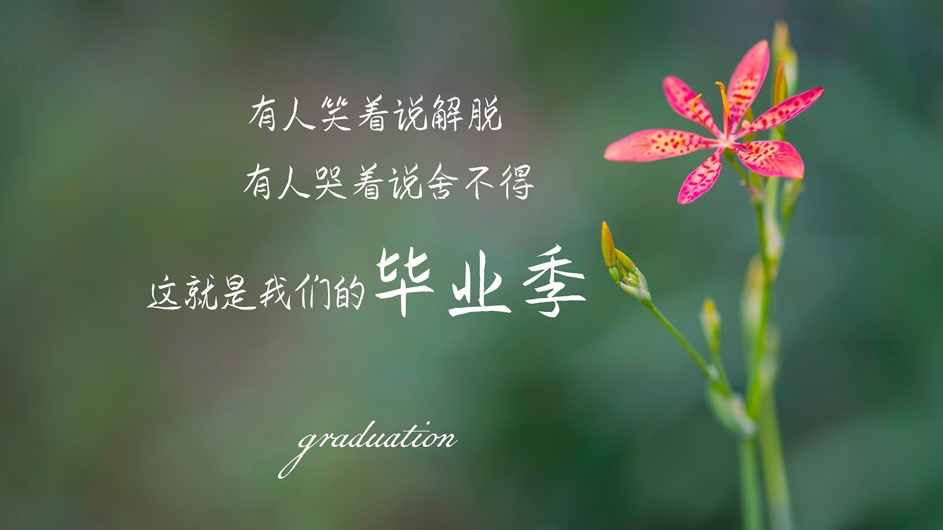 职业俱乐部推动退役球员导师计划协助青年成长，职业选手退役当教练