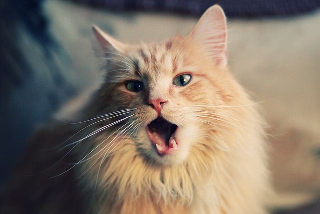 九游官网下载电脑版-青少年足球培训基地扩建，培养未来之星，青少年足球培训营